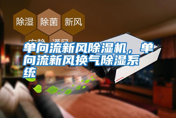單向流新風除濕機，單向流新風換氣除濕系統