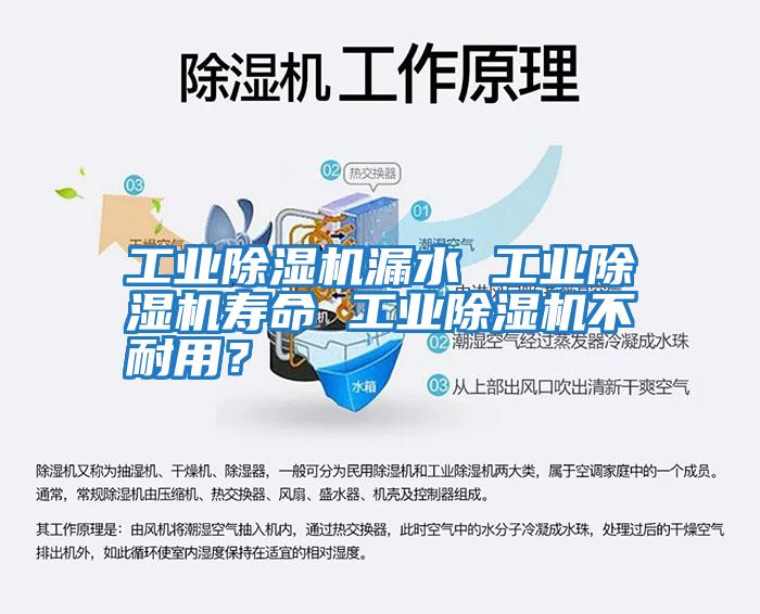工業(yè)除濕機漏水 工業(yè)除濕機壽命 工業(yè)除濕機不耐用？