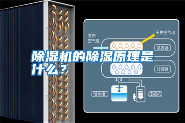 除濕機的除濕原理是什么？