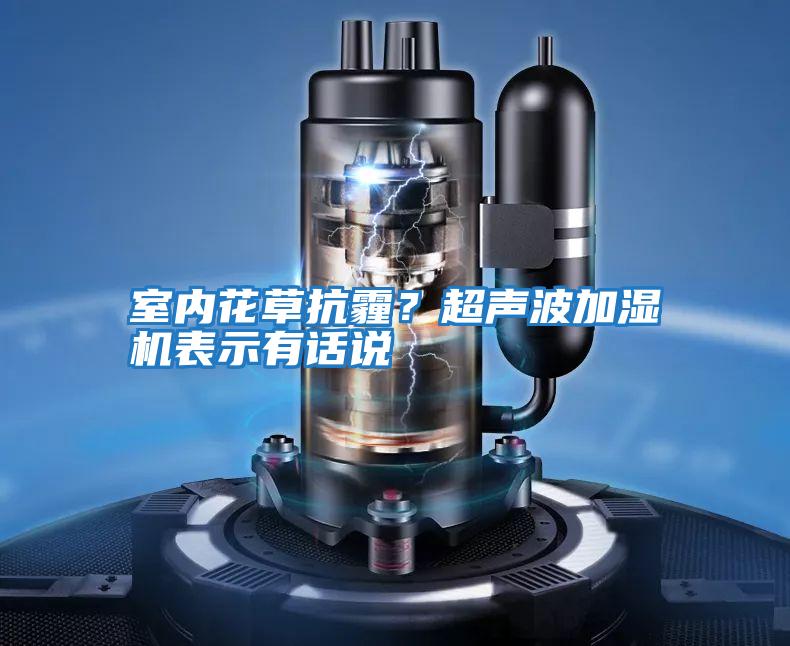 室內花草抗霾？超聲波加濕機表示有話說
