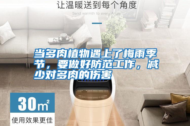 當多肉植物遇上了梅雨季節，要做好防范工作，減少對多肉的傷害