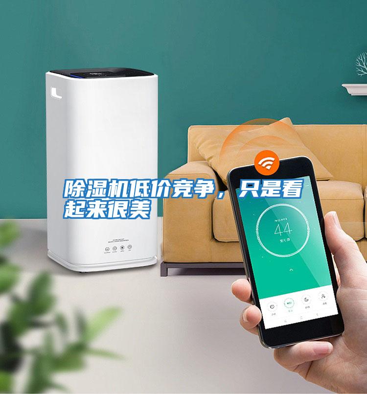 除濕機(jī)低價(jià)競(jìng)爭(zhēng)，只是看起來很美