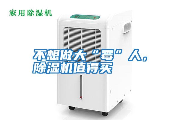 不想做大“霉”人，除濕機值得買