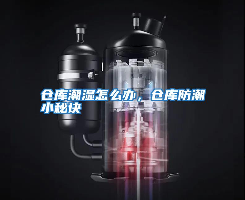 倉(cāng)庫(kù)潮濕怎么辦，倉(cāng)庫(kù)防潮小秘訣