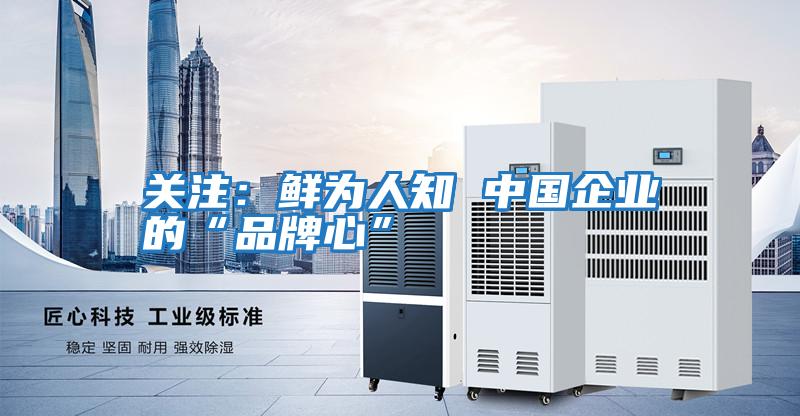 關注:鮮為人知 中國企業的“品牌心”