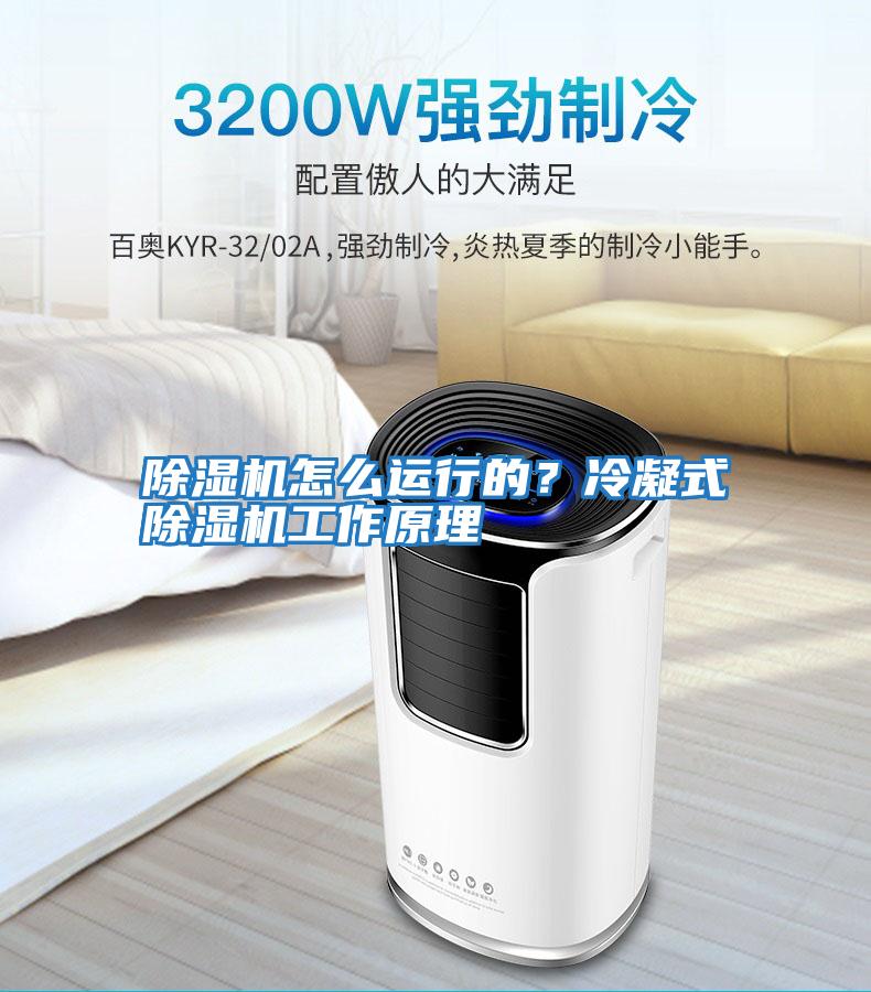 除濕機怎么運行的?冷凝式除濕機工作原理