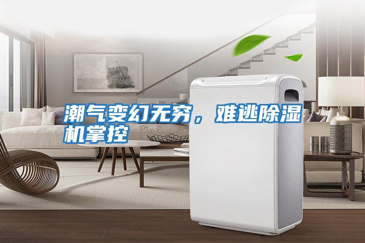 潮氣變幻無窮，難逃除濕機掌控