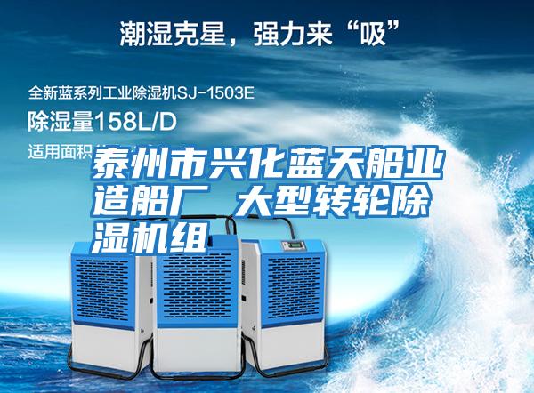 泰州市興化藍天船業造船廠 大型轉輪除濕機組