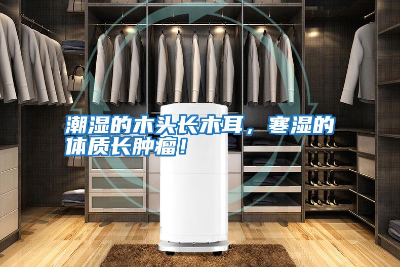 潮濕的木頭長木耳，寒濕的體質長腫瘤！