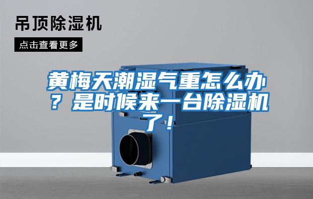 黃梅天潮濕氣重怎么辦？是時候來一臺除濕機了！