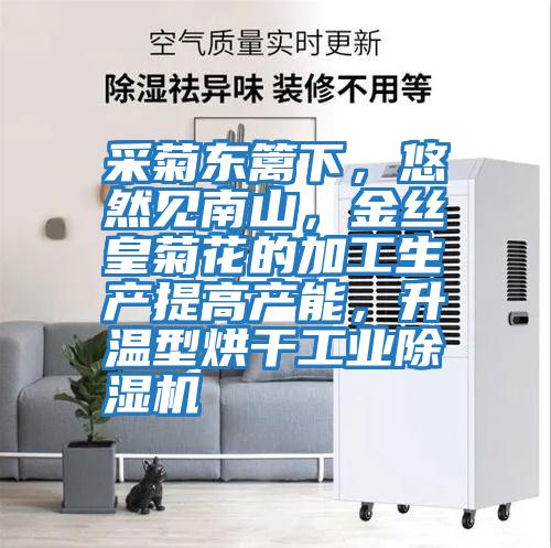 采菊東籬下，悠然見(jiàn)南山，金絲皇菊花的加工生產(chǎn)提高產(chǎn)能，升溫型烘干工業(yè)除濕機(jī)