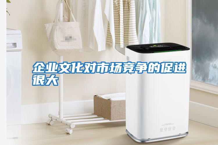 企業(yè)文化對市場競爭的促進很大