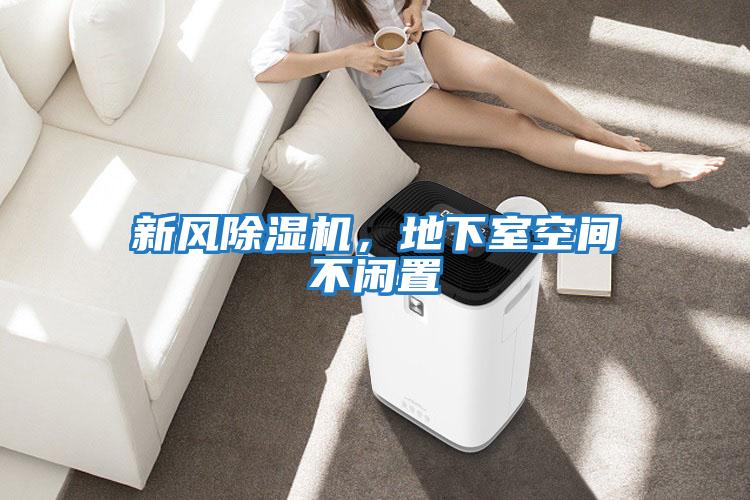 新風(fēng)除濕機(jī)，地下室空間不閑置