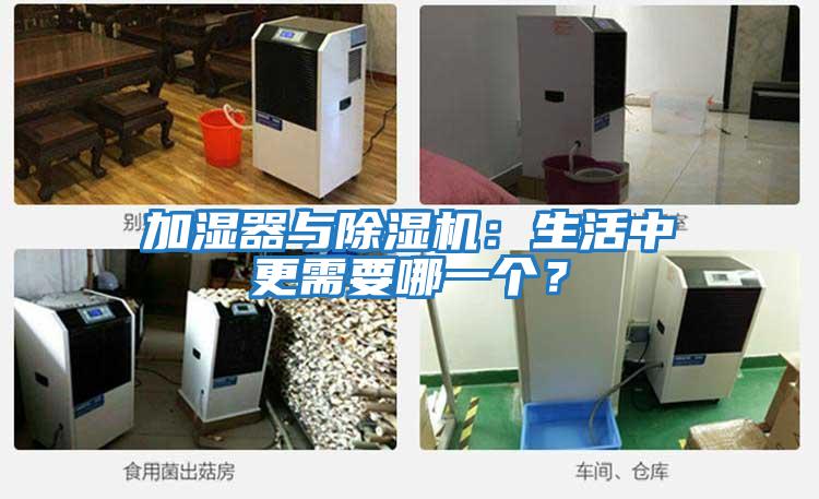 加濕器與除濕機：生活中更需要哪一個？