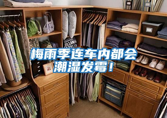 梅雨季連車(chē)內(nèi)都會(huì)潮濕發(fā)霉!