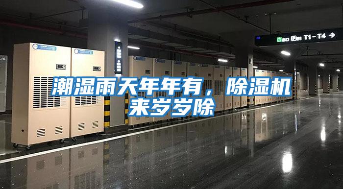 潮濕雨天年年有,除濕機(jī)來歲歲除