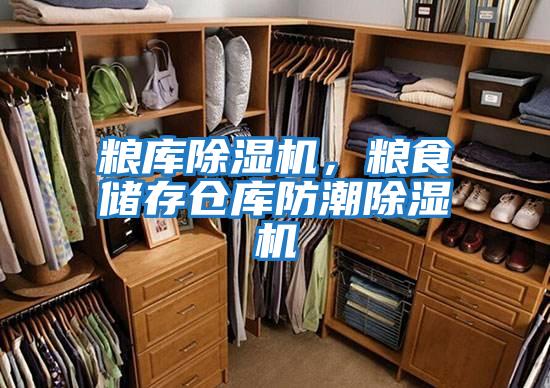 糧庫除濕機,糧食儲存倉庫防潮除濕機