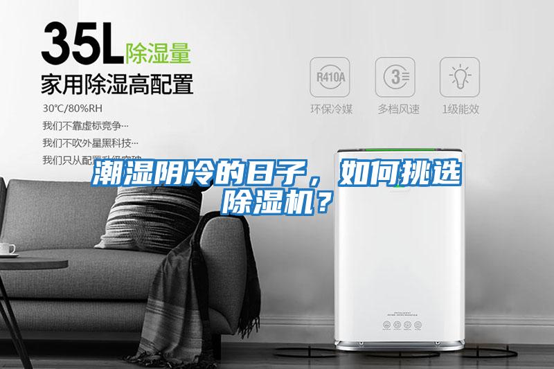 潮濕陰冷的日子，如何挑選除濕機？