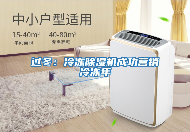 過冬:冷凍除濕機(jī)成功營銷冷凍年