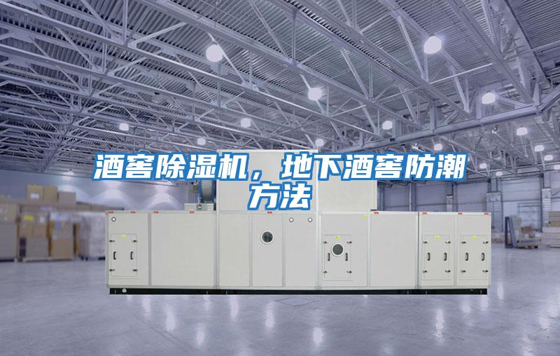 酒窖除濕機，地下酒窖防潮方法