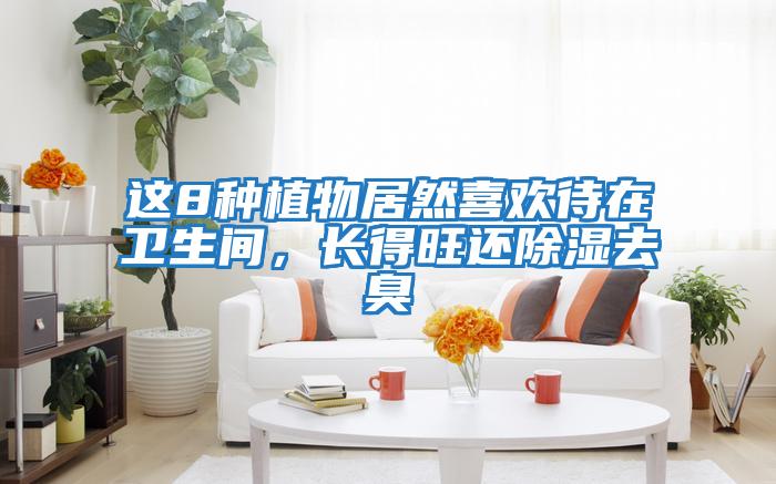 這8種植物居然喜歡待在衛生間，長得旺還除濕去臭