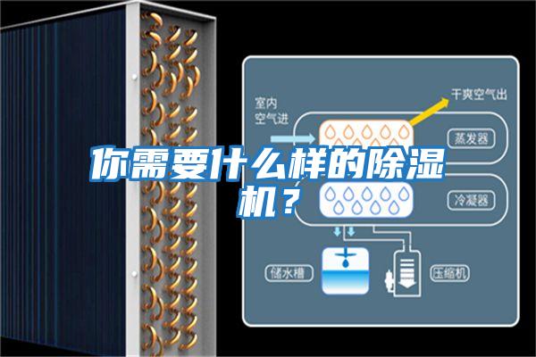 你需要什么樣的除濕機？