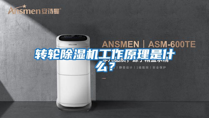 轉輪除濕機工作原理是什么？