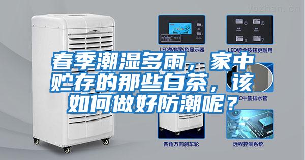 春季潮濕多雨，家中貯存的那些白茶，該如何做好防潮呢？