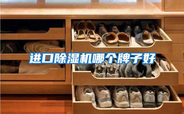 進口除濕機哪個牌子好