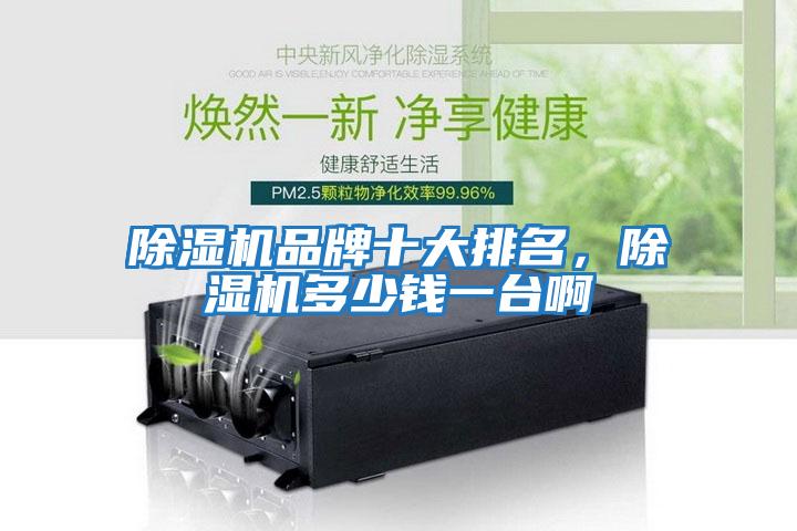 除濕機品牌十大排名，除濕機多少錢一臺啊