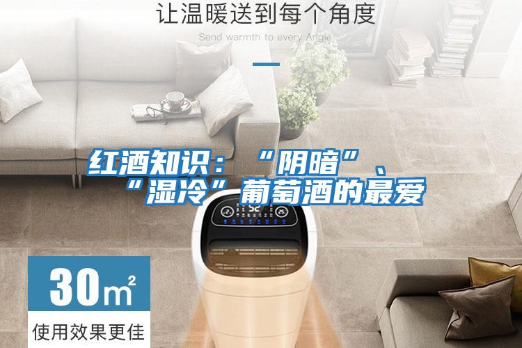 紅酒知識：“陰暗”、“濕冷”葡萄酒的最愛