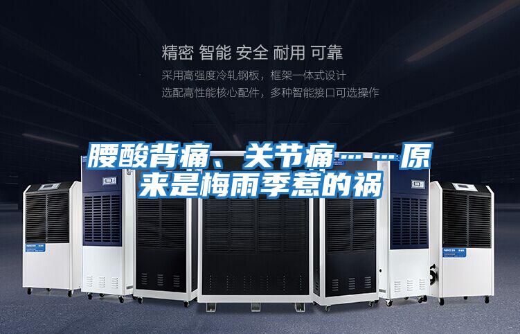 腰酸背痛、關節(jié)痛……原來是梅雨季惹的禍