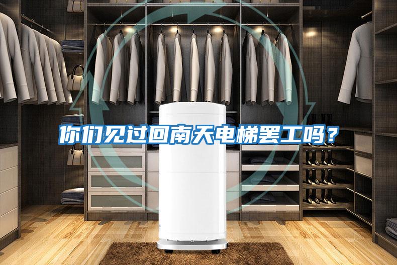 你們見過回南天電梯罷工嗎？