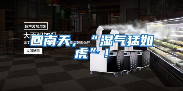 回南天，“濕氣猛如虎”！