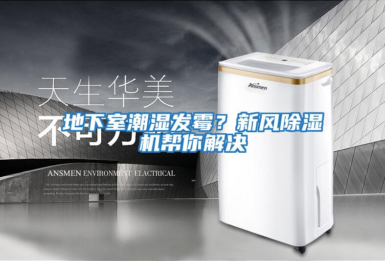 地下室潮濕發霉？新風除濕機幫你解決