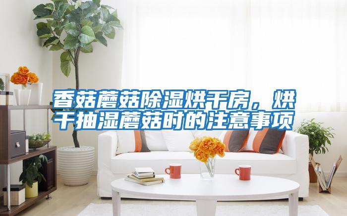 香菇蘑菇除濕烘干房，烘干抽濕蘑菇時的注意事項