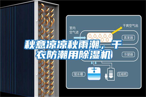 秋意涼涼秋雨潮，干衣防潮用除濕機