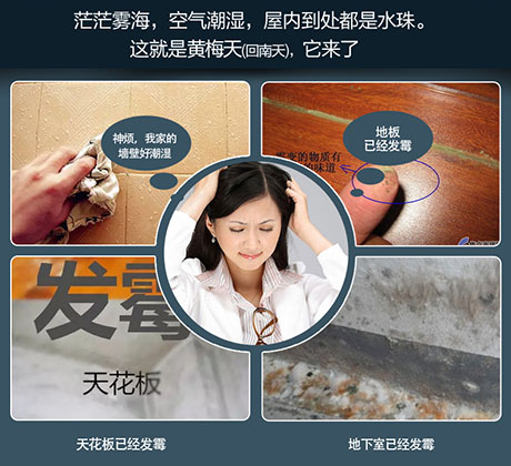 家庭別墅的地下室、衛生間、儲物室等該如何除濕?