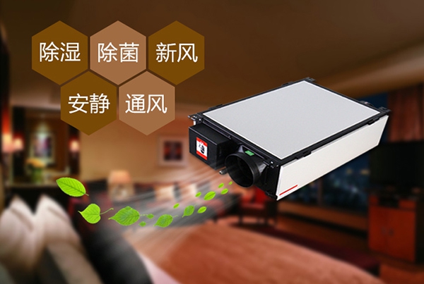 出梅？再等等，在家該如何防潮除濕？