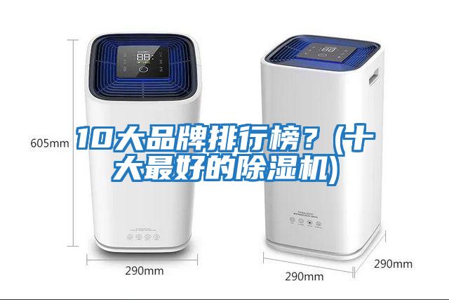 10大品牌排行榜？(十大最好的除濕機(jī))
