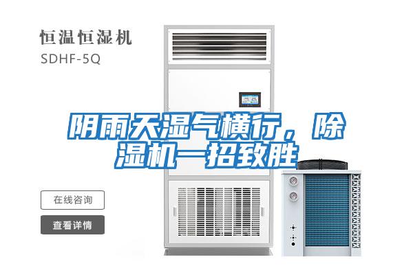 陰雨天濕氣橫行，除濕機一招致勝