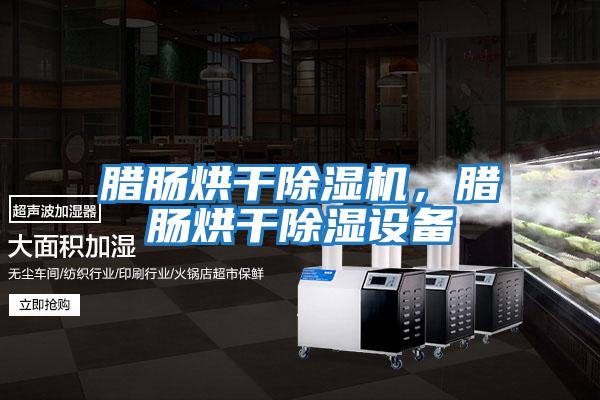 臘腸烘干除濕機，臘腸烘干除濕設備