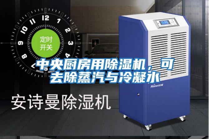 中央廚房用除濕機(jī)，可去除蒸汽與冷凝水