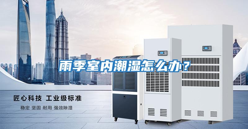 雨季室內潮濕怎么辦？