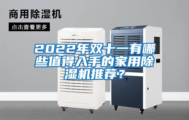 2022年雙十一有哪些值得入手的家用除濕機推薦？