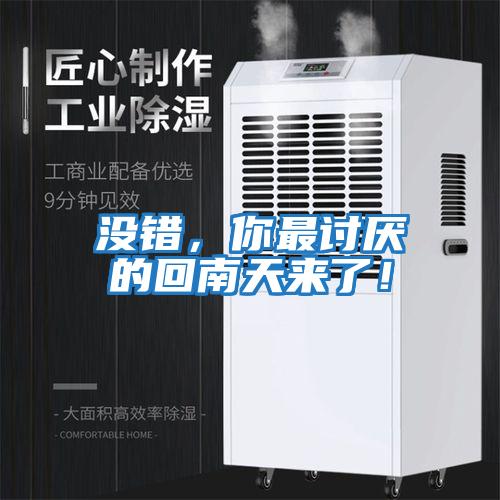 沒錯，你最討厭的回南天來了！