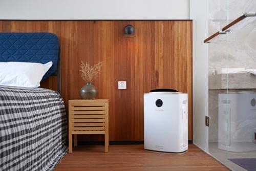 長(zhǎng)期外出,怎么避免家里受潮長(zhǎng)蘑菇?