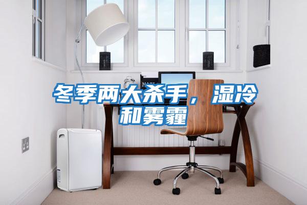 冬季兩大殺手，濕冷和霧霾