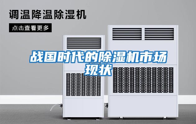 戰(zhàn)國時代的除濕機市場現狀