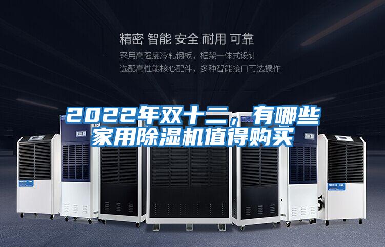 2022年雙十二，有哪些家用除濕機(jī)值得購(gòu)買(mǎi)
